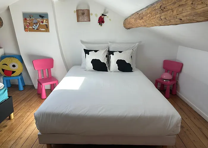 Maison De Caractere Avec Jardin Arbore En Avignon