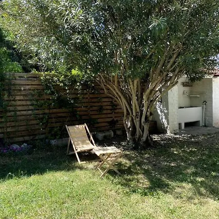 Maison De Caractere Avec Jardin Arbore En Avignon Exterior photo