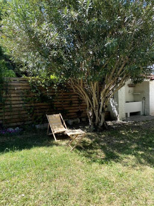 Maison De Caractere Avec Jardin Arbore En * Avignon
