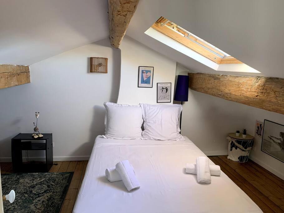Maison De Caractere Avec Jardin Arbore En